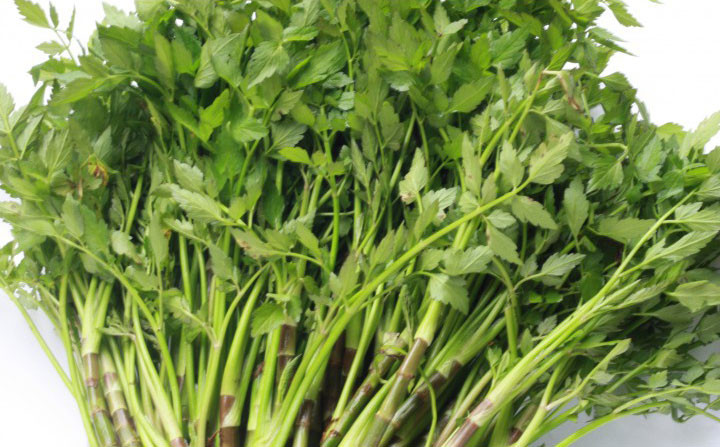 Ảnh minh hoạ: Internet