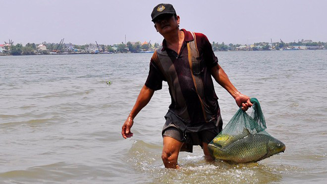 Mỗi ngày, ngư phủ Phước có thể bắt được từ 20 kg đến 50 kg cá các loại. Ảnh: Ngọc An