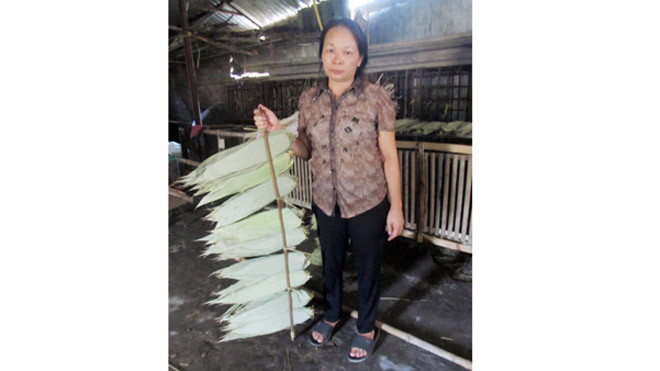 Chị Triệu giới thiệu cách thức hấp sấy lá tre.