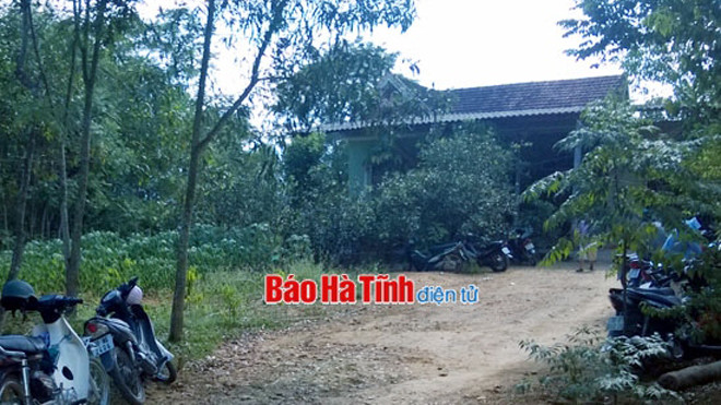 Bị gỗ lao thiệt mạng