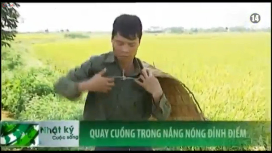 Nắng như đổ lửa, nông dân Hà Nội dùng áo tơi chống nóng