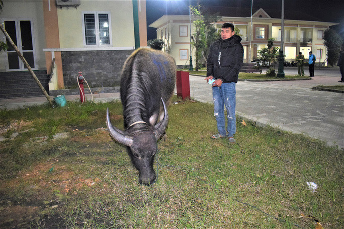 Võ Thành Quang và tang vật vụ án