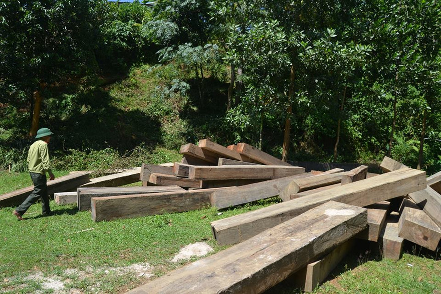 Vì sao nguyên Giám đốc ban quản lý rừng phòng hộ Sông Tranh bị bắt?