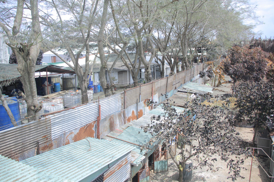 Lạnh người cảnh khu dân cư xơ xác sau sự cố rò khí amoniac