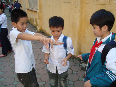 Nuôi dạy con thoáng, thế nào là tốt?