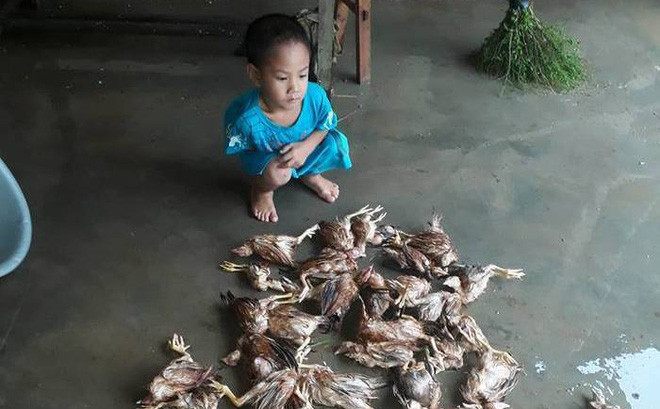 Những bức hình ám ảnh trong đợt lũ kinh hoàng ở miền Bắc - miền Trung