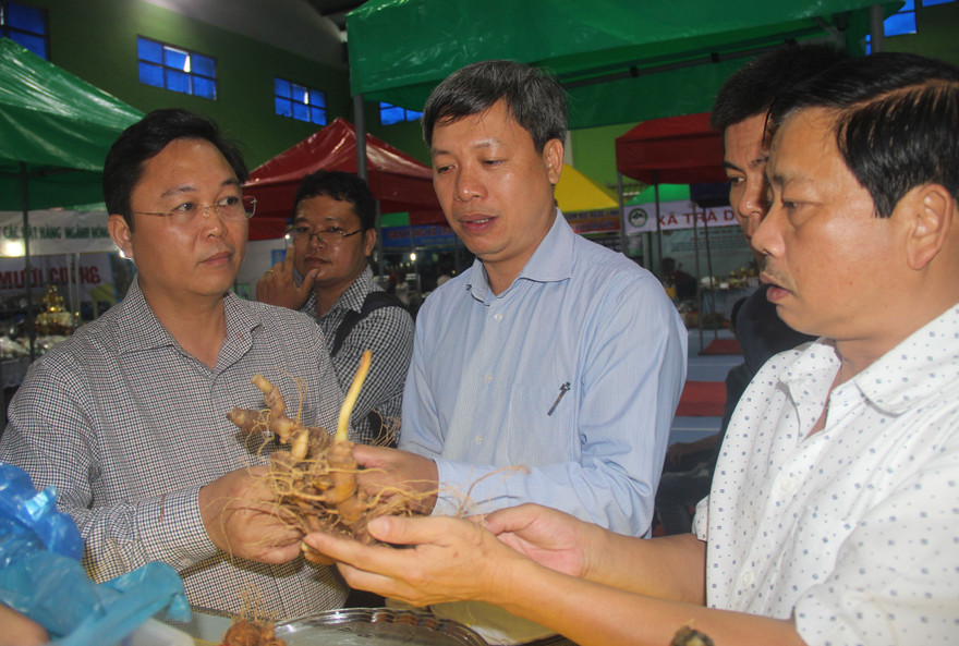 Những cây sâm quý có giá vài cây vàng vẫn đắt khách tại phiên chợ. Ảnh H. Văn