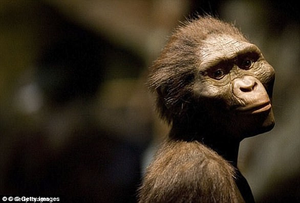 Chiêm ngưỡng hàm răng 9,7 triệu năm tuổi vừa được phát hiện