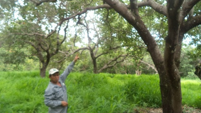 Hiện trường nơi phát hiện xác nạn nhân.