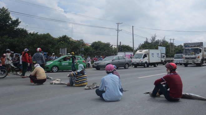 Năm 2016, cá chết hàng loạt, người nuôi cá bè ở Long Sơn mang cá ra quốc quốc lộ 51 ngồi phản ứng
