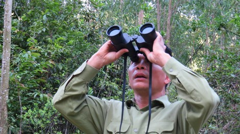 Tú "voọc" quan sát đàn voọc.