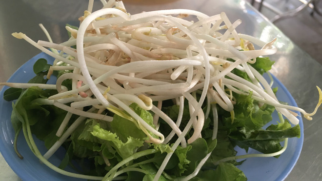 Giá đỗ được người dân sử dụng phổ biến trong rau sống hàng ngày. Ảnh: Thanh Trần. 