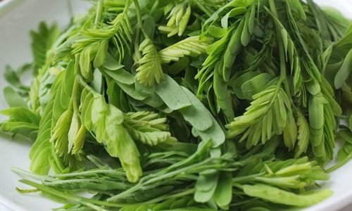 Các bệnh ngoài da một đi không trở lại với nắm lá me