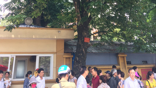 Cây sưa trước cổng viện 108 rất có giá trị nhưng ít ai biết