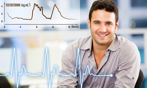 Tăng cường Testosterone nội sinh mạnh mẽ, giúp nam giới duy trì đời sống sinh lý sung mãn