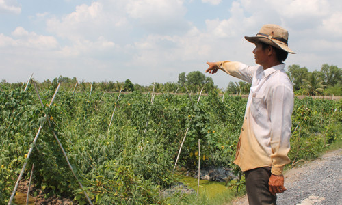 Nông dân đạt giải sản xuất giỏi năm 2018