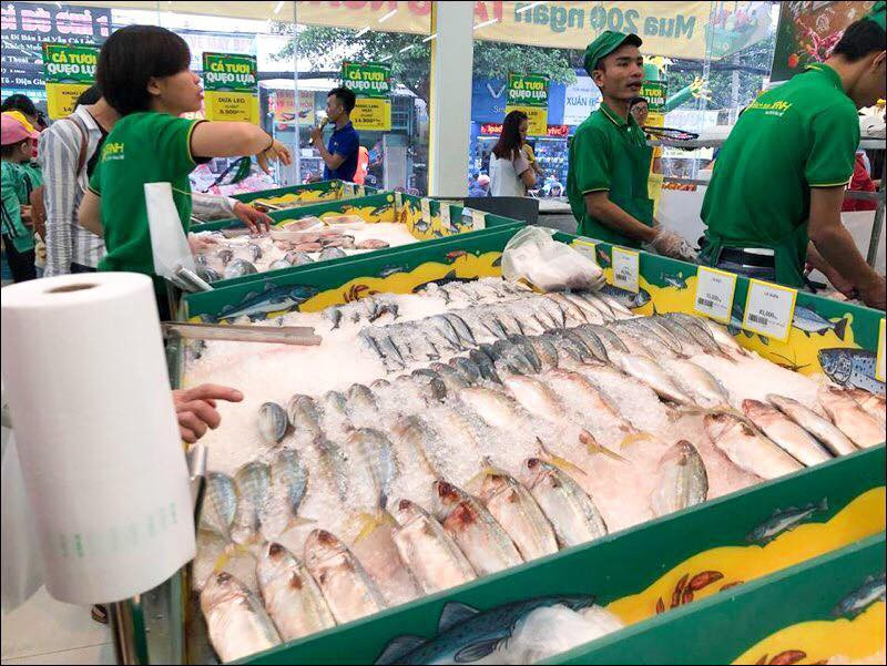 Nhờ mua tận gốc mà tháng 4 vừa qua, ngành hàng Cá lần đầu tiên có lợi nhuận