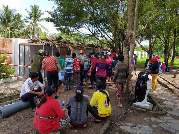 Du khách bàn tán cặp rắn hổ mây ở mọi lúc mọi nơi