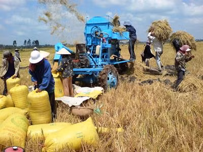 Duy trì sản lượng gạo xuất khẩu trung bình 6 - 7 triệu tấn mỗi năm, Việt Nam đã vươn lên vị trí nước xuất khẩu gạo lớn thứ 2 trên thế giới 