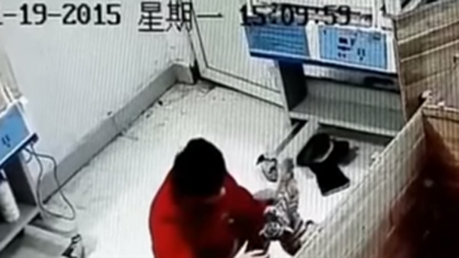 Chú hổ con bị đánh liên tiếp vào đầu. (Nguồn: YouTube)