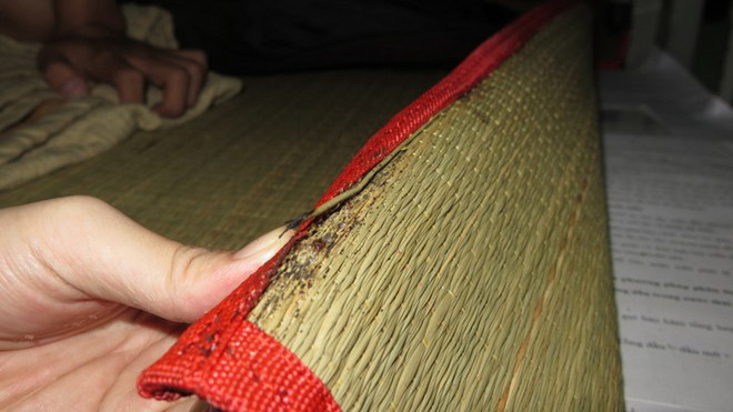 Rệp đẻ trứng, bám vào chiếu.