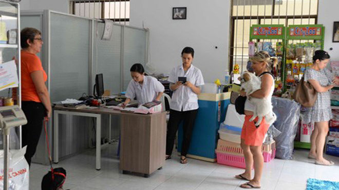 Thú cưng được chăm tại Phòng khám thú y Saigon Pet Clinic - Ảnh: D.Đ.M