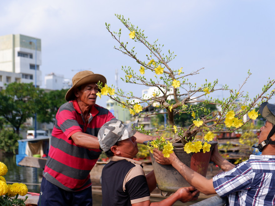 Cảnh ‘trên bến dưới thuyền’ tấp nập tại chợ hoa bến Bình Đông