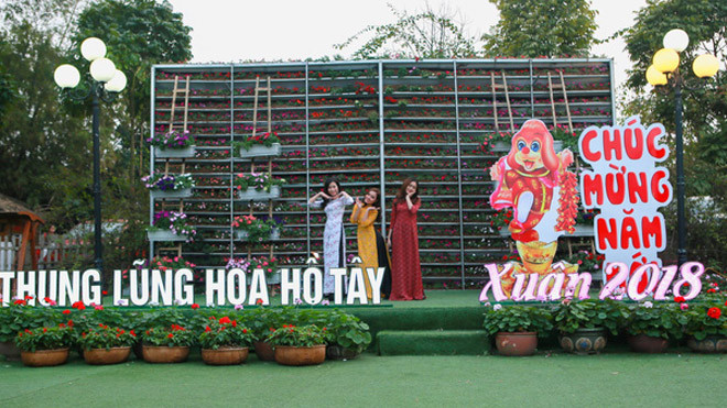 Thưởng lãm sắc đẹp của thung lũng ngàn hoa