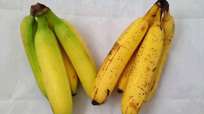 Chuối chín ép vàng tươi nhưng phần cuống vẫn còn xanh. Ảnh minh họa: P.T.