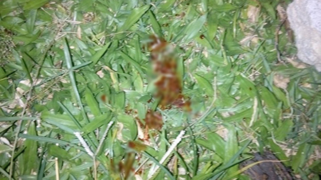 Vệt máu tại hiện trường. Ảnh: T.H