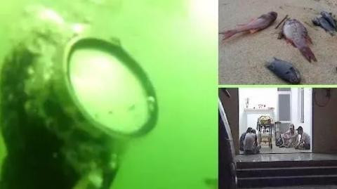 Thợ lặn tử vong đúng thời điểm Formosa xả thải làm nước biển nhiễm độc, cá chết hàng loạt.