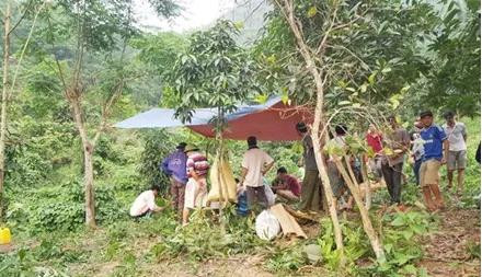 Một vụ lên rẫy tự tử (Ảnh minh họa)