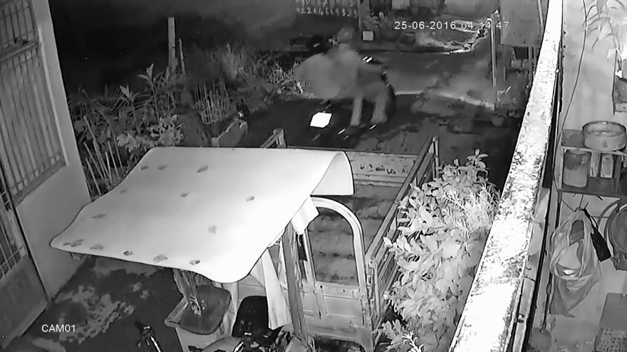 Hình ảnh cắt từ clip