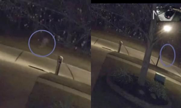 Bí ẩn chuyện nhiều người thấy “đứa trẻ chạy một mình trên phố”, cảnh sát gọi là “cô bé ma”