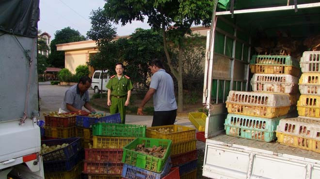 Thủ tướng yêu cầu các bộ, ngành, địa phương giám sát chặt chẽ, xử lý nghiêm vấn đề nhập lậu gia cầm, sản phẩm gia cầm qua biên giới