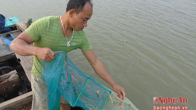 Bắt cua bằng lưới bát quái. Ảnh: T.D