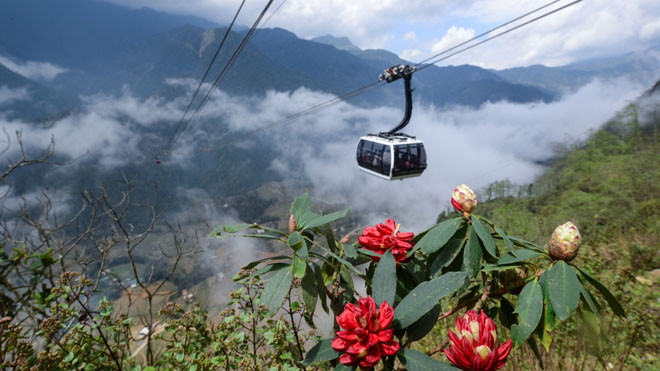 Lễ hội hoa đỗ quyên đầu tiên tại Sa Pa