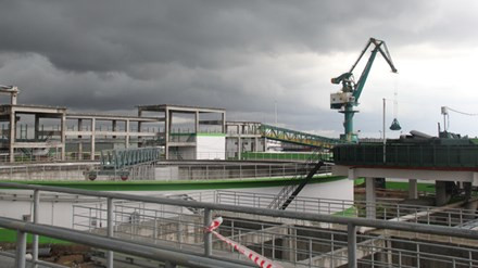 Kiểm tra thông tin nhà máy giấy Lee & Man gây ô nhiễm