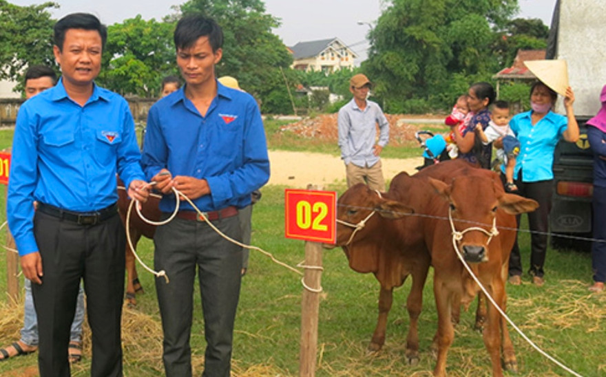 Trao 40 con bò giống cho đoàn viên thanh niên nghèo