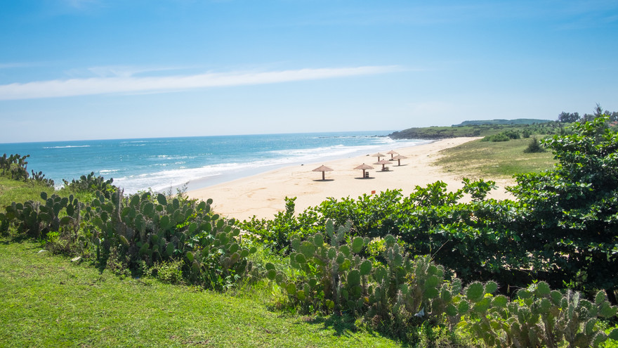 Những vùng biển xanh, cát trắng, nắng ấm và an toàn giữa mùa dịch là điều thu hút du khách đến với Phú Yên