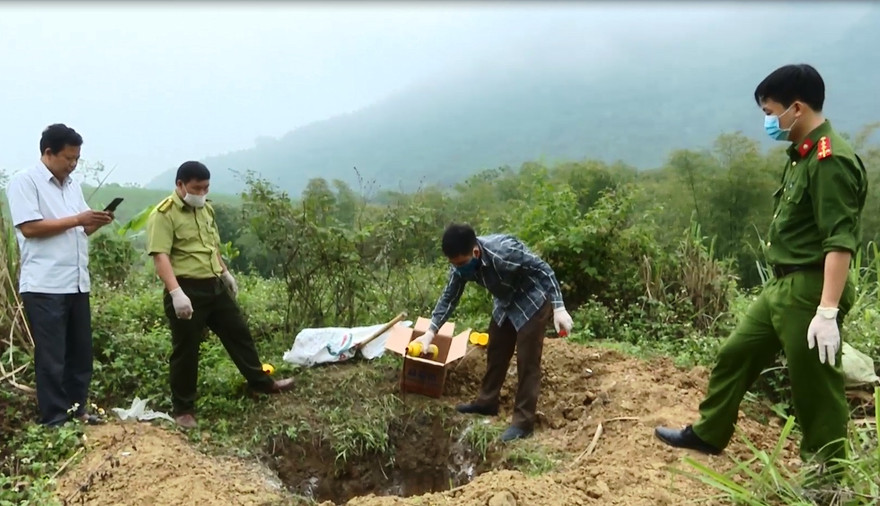 Tiêu huỷ 32 cá thể động vật rừng, xử phạt gần 50 triệu đồng