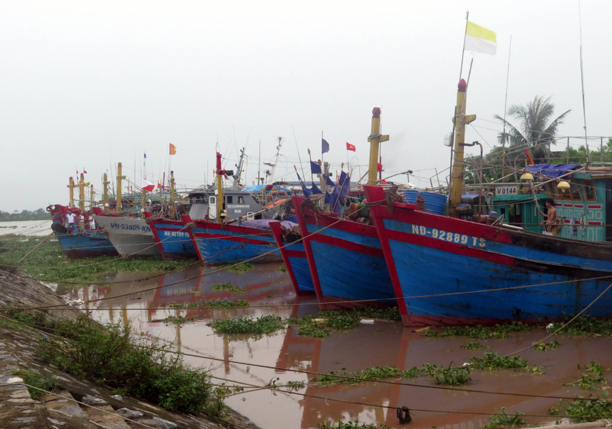 Ngư dân tại thị trấn Thịnh Long (Hải Hậu, Nam Định) đã đưa tàu thuyền vào nơi tránh trú an toàn - Ảnh: Hoàng Long