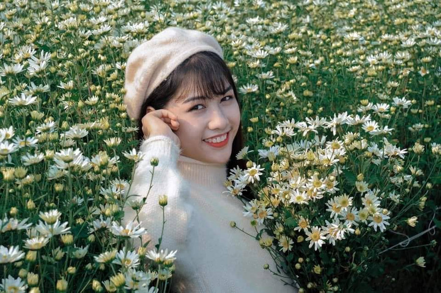 Vườn cúc Hoạ mi tại Nam Định thu hút giới trẻ đến chụp ảnh - Ảnh: Hoàng Long