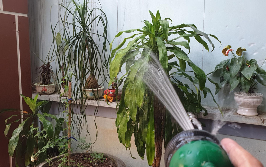 Đường điện hở truyền dẫn theo nước khi tưới cây khiến 2 vợ chồng tử vong - Ảnh: Hoàng Long