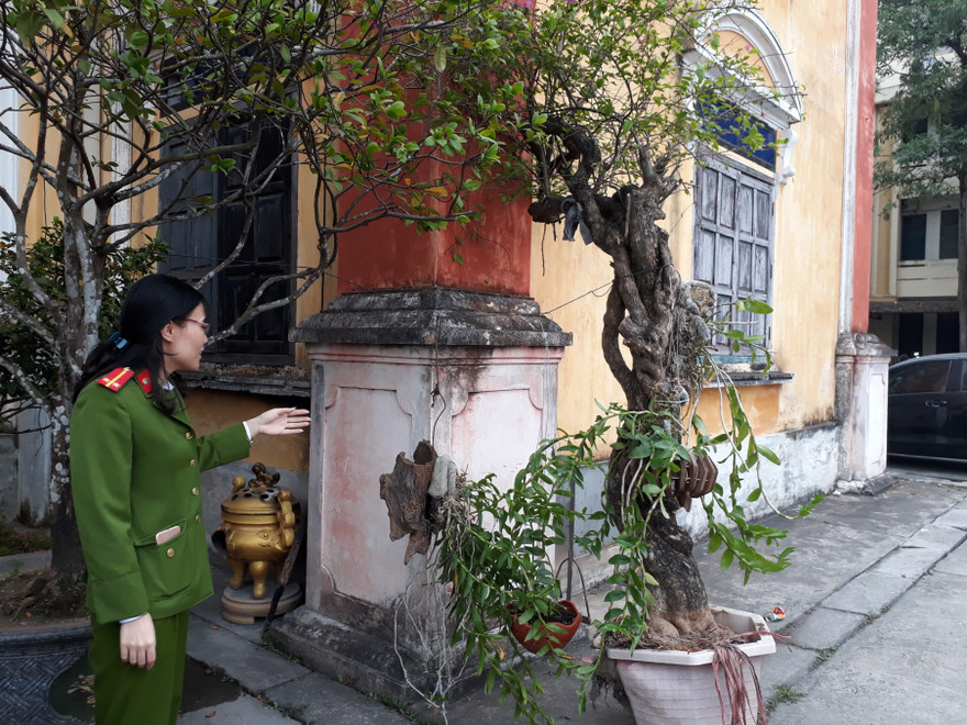 Công an thành phố Thái Bình thu hồi cây cảnh bị trộm - Ảnh: Hoàng Long