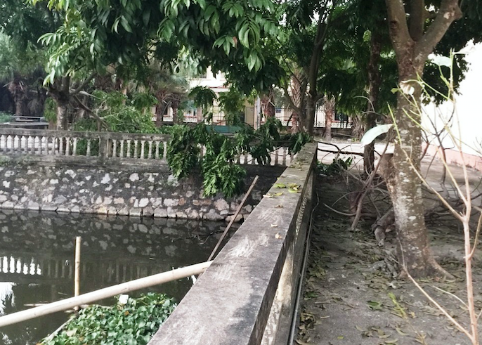 Khu vực ao nước, nơi phát hiện thi thể ông Trần Văn Phú - Ảnh: Hoàng Long