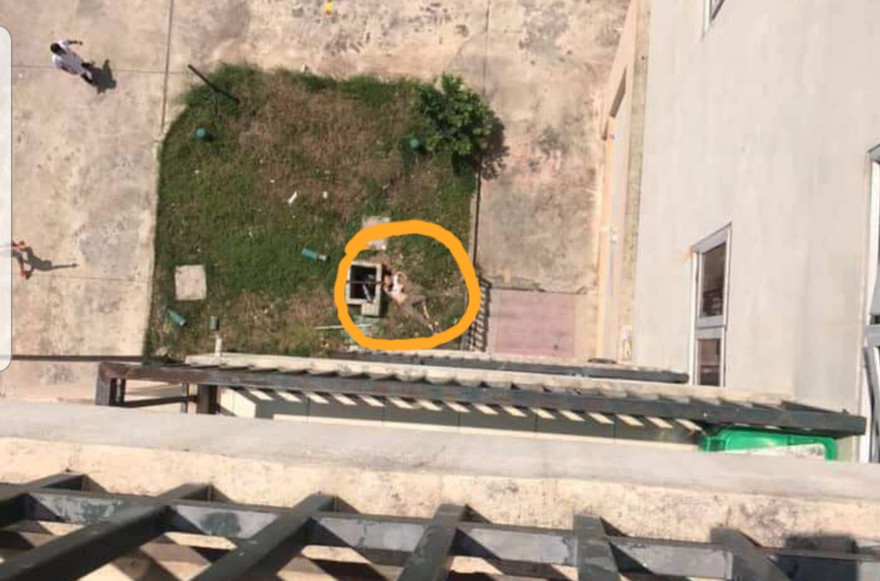 Nạn nhân nhảy từ tầng 7 xuống sân bệnh viện dẫn đến tử vong - Ảnh: Hoàng Long