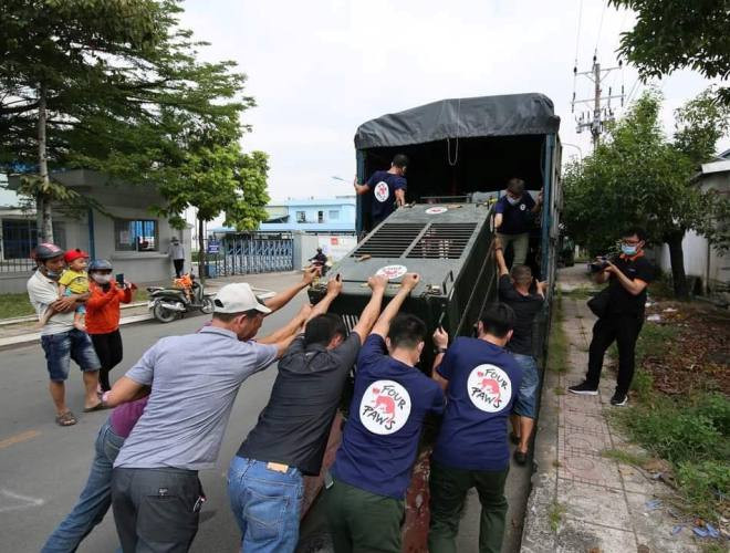 Giải cứu 7 cá thể gấu có màu lông hiếm lạ nuôi nhốt gần 20 năm ở Bình Dương