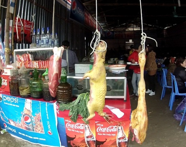 ENV cảnh báo nguy cơ nhiễm COVID-19 khi ăn thịt động vật hoang dã