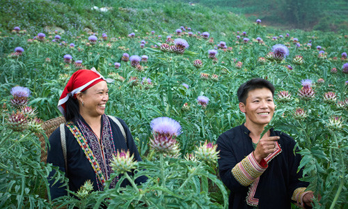 Phụ nữ Dao đỏ biến tri thức bản địa thành cơ hội thoát nghèo